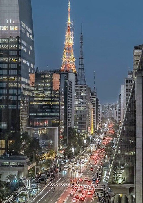 Lixeiras Avenida Paulista - São Paulo